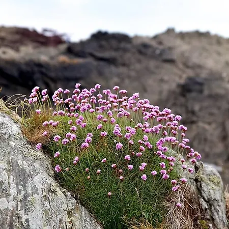 Luxusní stan Bulle D'amour A 500 M De La Cancale